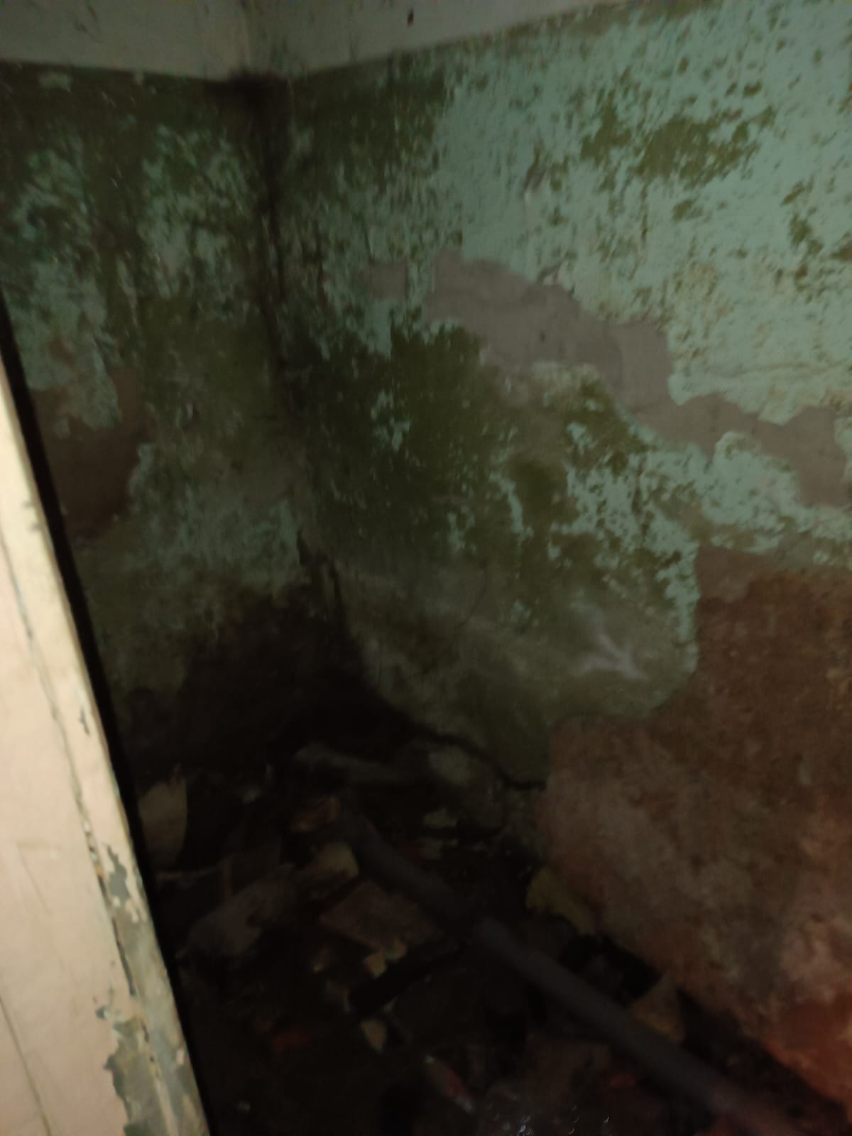 Торги №1661582 Лот №4032654 г. Курган, ул. Коли Мяготина, д. 134, помещение - торги по банкротству 4